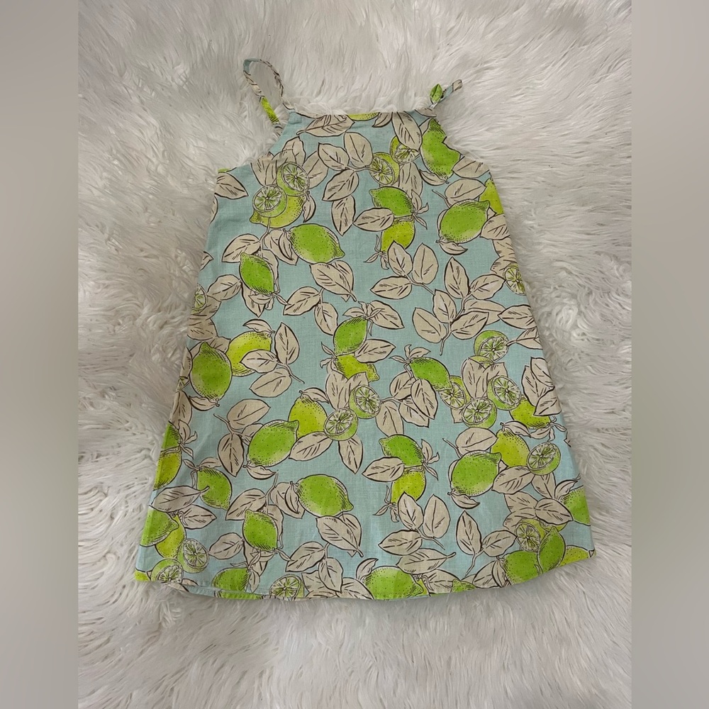 Zara girl dress